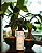Aromatizador de ambiente bamboo - 200 ml - Imagem 1