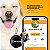 Tag Identificadora para Pet - PetSafe - Gshield - Imagem 4