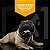 Tag Identificadora para Pet - PetSafe - Gshield - Imagem 6