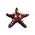 ENFEITE DE RESINA SOMA INVERTEBRADO ESTRELA SPOTTED ROSA - Imagem 3