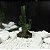 ENFEITE DE RESINA SOMA PLANTA CACTUS 111 - Imagem 4
