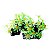 ENFEITE DE RESINA SOMA ROCHA DECO XENIA VERDE - Imagem 3