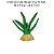 ENFEITE DE SILICONE SOMA PLANTA CACTUS 07 - Imagem 3