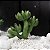 ENFEITE DE SILICONE SOMA PLANTA CACTUS 09 - Imagem 4