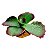 ENFEITE DE SILICONE SOMA PLANTA SUCULENTA 04 - Imagem 5