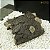 ENFEITE DE RESINA SOMA TRONCO TUNEL 24(16X13X8 CM) - Imagem 1