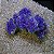 ENFEITE DE RESINA SOMA ROCHA DECO ZOANTHUS ROXO - Imagem 1
