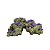 ENFEITE DE RESINA SOMA ROCHA DECO ZOANTHUS ROXO - Imagem 4