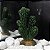 ENFEITE DE RESINA SOMA PLANTA CACTUS 116 - Imagem 2