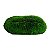 ENFEITE DE SILICONE SOMA CORAL TONGUE VERDE - Imagem 4