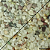SUBSTRATO SOMA MICROSFERA NATURAL GRAVEL BRIGHT MIX (3-5MM)-10KG - Imagem 6