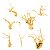 TRONCO RAIZ SOMA SPIDER ROOT 50-70CM (VENDA POR KG) - Imagem 1