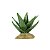 ENFEITE DE RESINA SOMA PLANTA CACTUS 104 - Imagem 1
