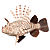 ENFEITE DE SILICONE SOMA JELLY LIONFISH - Imagem 2
