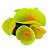 ENFEITE DE SILICONE SOMA CORAL MUSHROOM GIANT AMARELO - Imagem 1