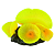 ENFEITE DE SILICONE SOMA CORAL MUSHROOM GIANT AMARELO - Imagem 2