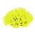 ENFEITE DE SILICONE SOMA CORAL GONIOPORA AMARELA - Imagem 2