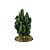 ENFEITE DE RESINA SOMA PLANTA CACTUS 130 - Imagem 1