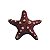 ENFEITE DE RESINA SOMA INVERTEBRADO ESTRELA SPOTTED VERMELHA - Imagem 1