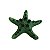 ENFEITE DE RESINA SOMA INVERTEBRADO ESTRELA SPOTTED VERDE - Imagem 1