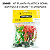 KIT PLANTA PLASTICA SOMA SORTIDO 3" (7,6CM) – 6 UNIDADES - Imagem 2