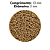 RACAO POYTARA CARPA CRESCIMENTO700G (BAG) - Imagem 4