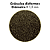 RACAO POYTARABLACK LINE IMMUNITY 35G - Imagem 4