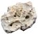 ROCHA MARINHA SOMA MICROSFERA REEF ROCK SORTIDO 09-12CM (CX) - Imagem 1