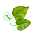 FOLHA PLASTICA SOMA PARA BETTA BLV-200 COM VENTOSA (7CM) - Imagem 2