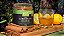 Kit 3 Shot Cúrcuma+ Manhã - Com gengibre e canela (100g)- Fazenda Soul Leve - Imagem 6