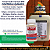 Inseticida Regent 800 WG Fracionado 50 g - Fipronil 80% - Imagem 1