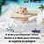 Areia de quartzo 00 Aquapedras banho a seco para hamster, gerbil e roedores pets - Imagem 3