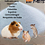 Areia de quartzo 00 Aquapedras banho a seco para hamster, gerbil e roedores pets - Imagem 5
