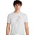Camiseta Aramis Pincelada VE24 Off White Masculino - Imagem 4
