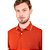 Camisa Polo Aramis 3 Listras In24 Vermelho Urucum Masculino - Imagem 3