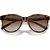 Óculos de Sol Armani Exchange 4144SU 820513 Marrom Feminino - Imagem 7