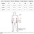 Camiseta Aramis Move Frame In24 Off White Masculino - Imagem 5
