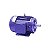 MOTOR.2.0 CV 4P TRIF.BLI - M752220A - Imagem 1