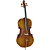 VIOLONCELO HOFMA ESTUDANTE - HCE110 - Imagem 1