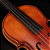 VIOLINO EAGLE ESTUDANTE 4/4 - VE244 - Imagem 2