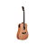 VIOLÃO TAGIMA FOLK AÇO ELETROACÚSTICO - TW25 NTS - Imagem 1