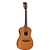 VIOLÃO STRINBERG AÇO ELETROACÚSTICO - SY25 MGS - Imagem 1