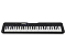 TECLADO CASIO CT-S300 BK - Imagem 3