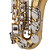 SAX ALTO MICHAEL WASM32 LN - Imagem 3