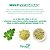 KIT 3 POTES DE MORINGA - Imagem 5