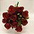 Buquê de 10 Rosas Vermelhas com Folhagem - Imagem 3