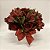 Box de Rosas e Alstroemérias Branco com Folhagem - Imagem 1