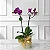 Mini Orquídea No Cachepô - Imagem 1