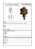 Conector Paralelo Duplo X Em Bronze Com Acessorios Em Bronze 16 – 50Mm2 Tel-738 Termotécnica - Imagem 2