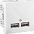 Orion - 2 Usb Charger 2.0 2.1A 127/220V - 2 Modules - White S70647304 APC - Imagem 1